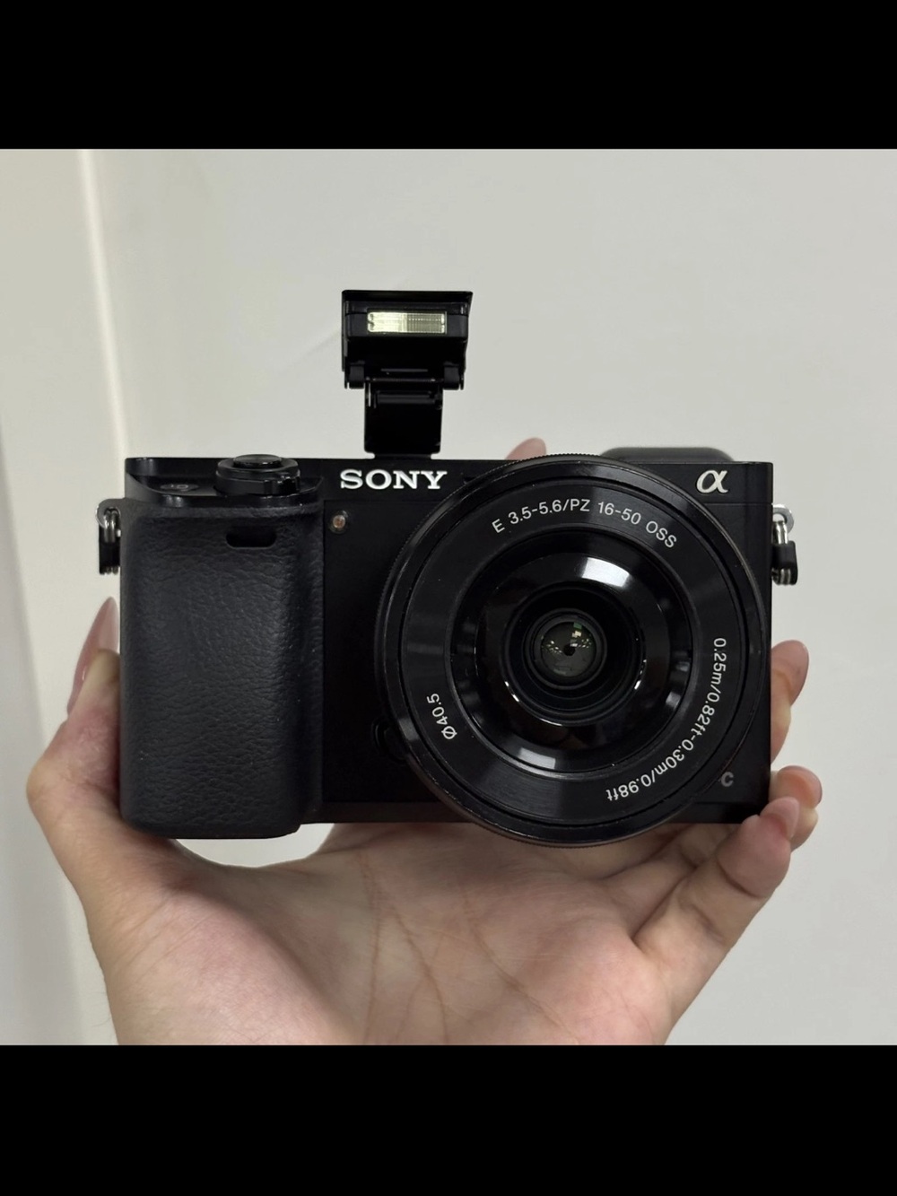 Sony Alpha 6000 Black Mirrorless Camera with 16-50mm Lens